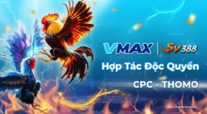 VMAX888 - vmax888.fun