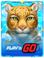 VMAX888 - vmax888.fun